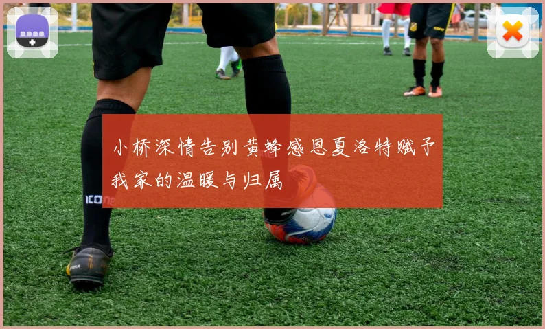 小桥深情告别黄蜂感恩夏洛特赋予我家的温暖与归属
